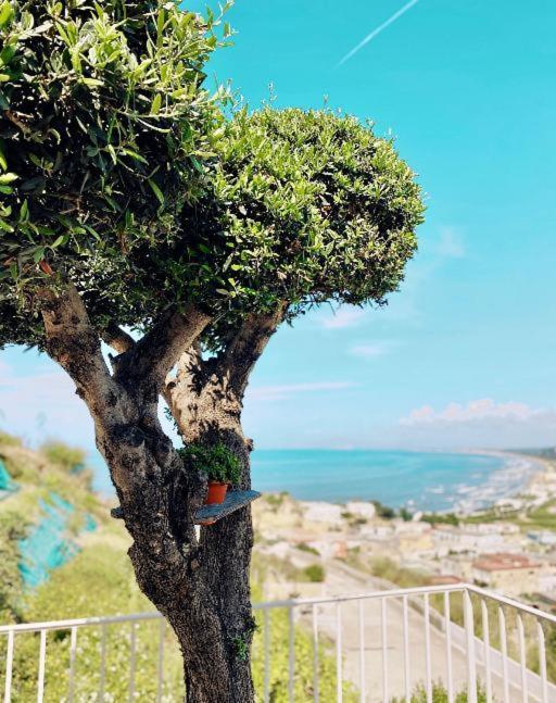 Vila Lavinum Monte di Procida Exteriér fotografie